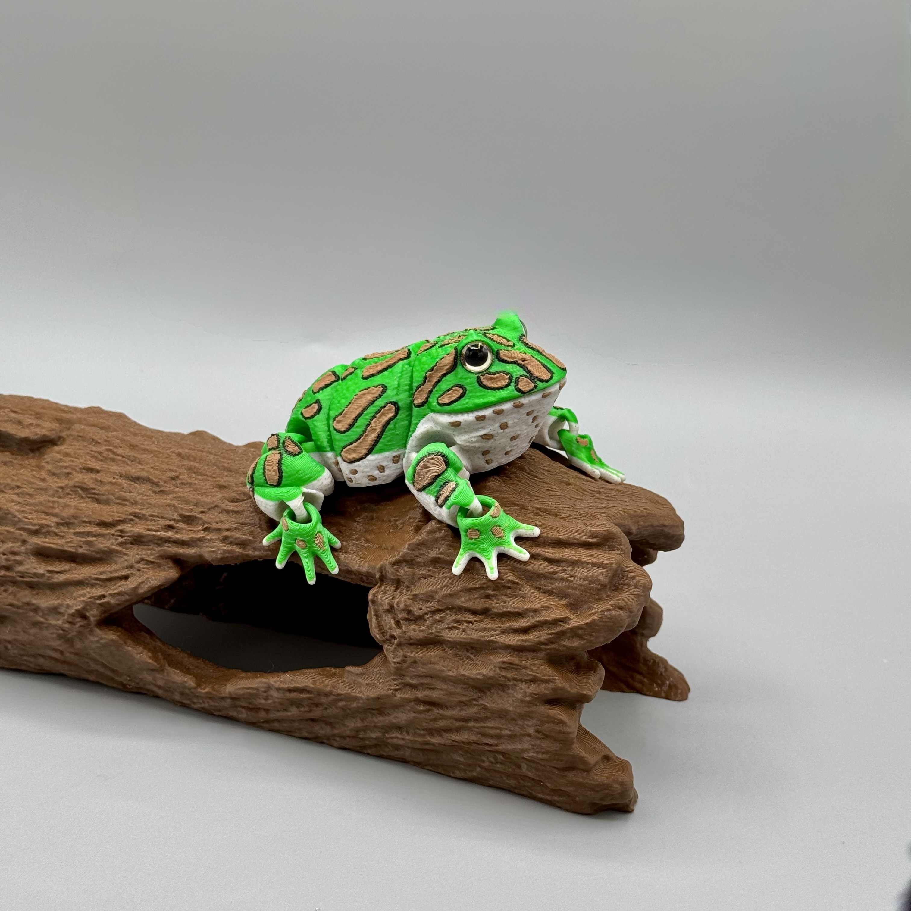 Articulated Pacman Frog | Pre-Painted + Optional 8mm Glass Eye